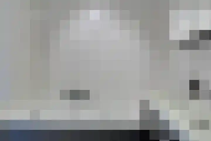 Amaliastein 171 Vianen thumbnail 20