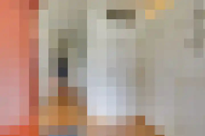 Amaliastein 171 Vianen thumbnail 21