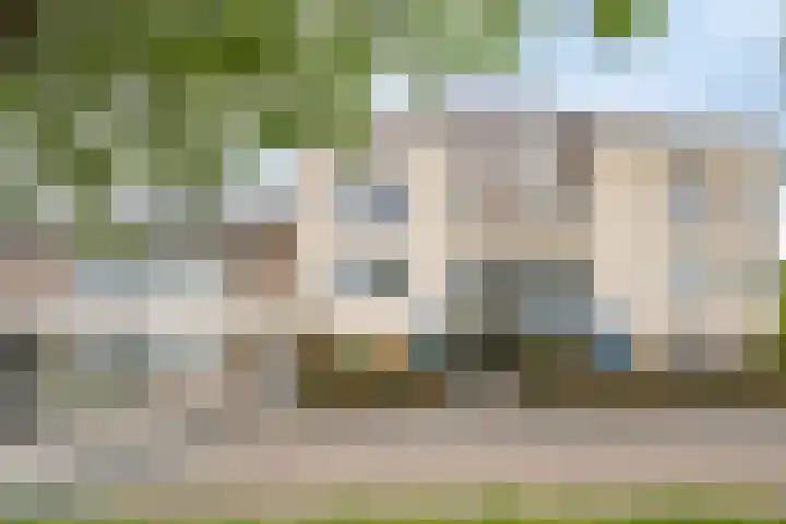 Amaliastein 171 Vianen thumbnail 22