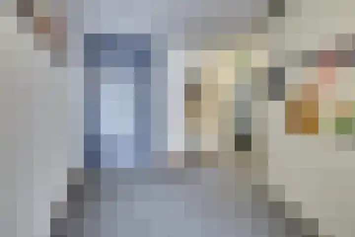 Amaliastein 171 Vianen thumbnail 23