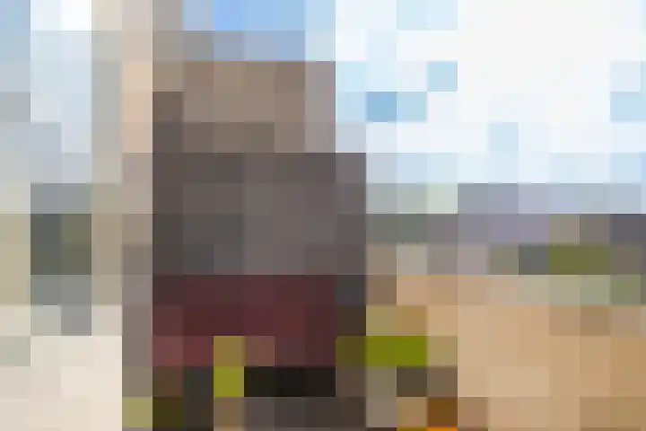 Amaliastein 171 Vianen thumbnail 24