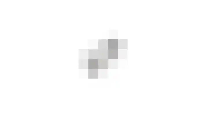 Amaliastein 171 Vianen thumbnail 25