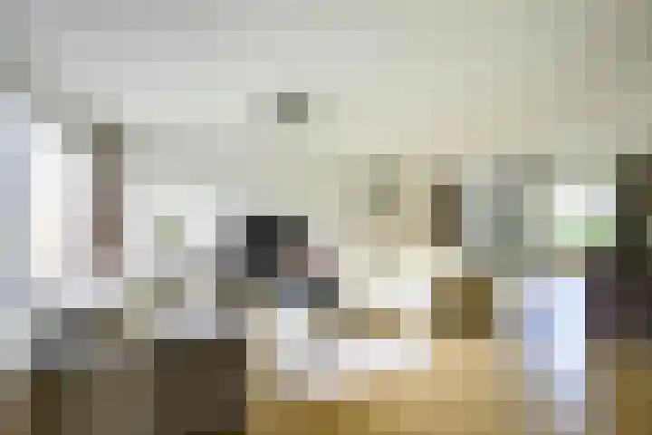 Amaliastein 174 Vianen thumbnail 12