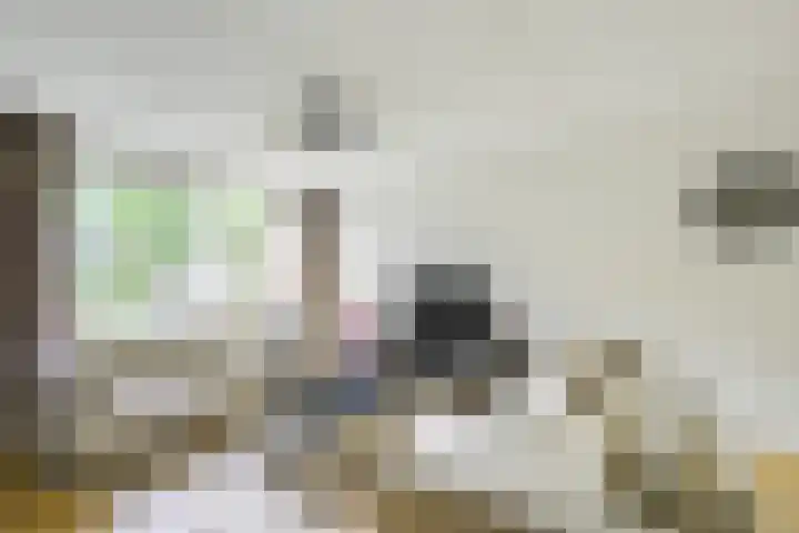 Amaliastein 174 Vianen thumbnail 15