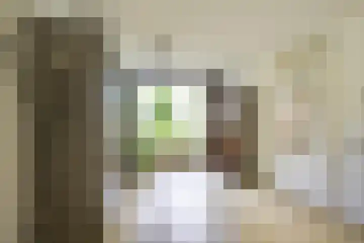 Amaliastein 174 Vianen thumbnail 17