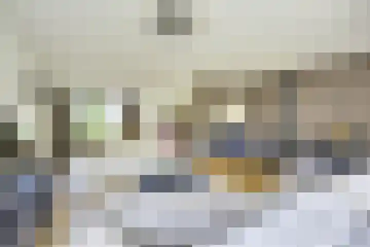 Amaliastein 174 Vianen thumbnail 20