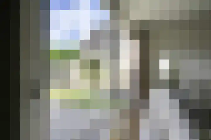 Amaliastein 174 Vianen thumbnail 21