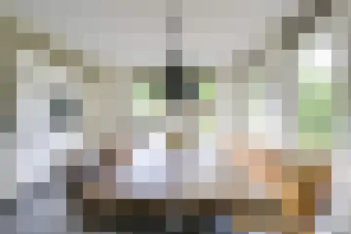 Amaliastein 174 Vianen thumbnail 22