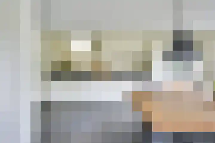 Amaliastein 174 Vianen thumbnail 23