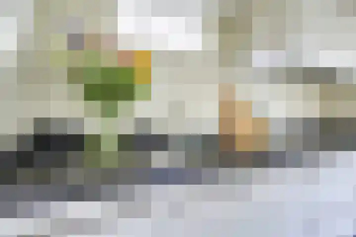 Amaliastein 174 Vianen thumbnail 24