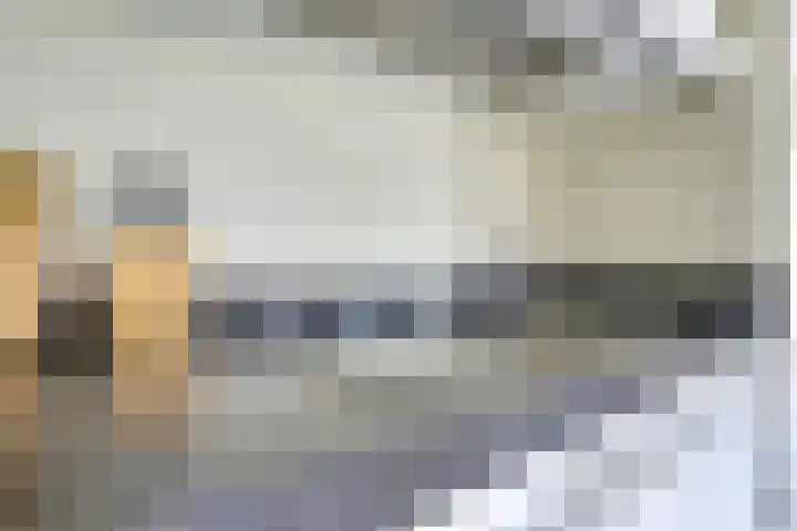 Amaliastein 174 Vianen thumbnail 26