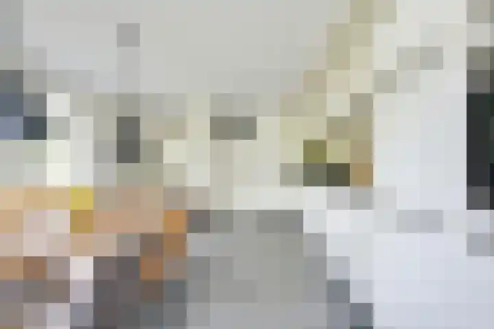 Amaliastein 174 Vianen thumbnail 28
