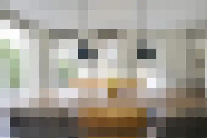 Amaliastein 174 Vianen thumbnail 30