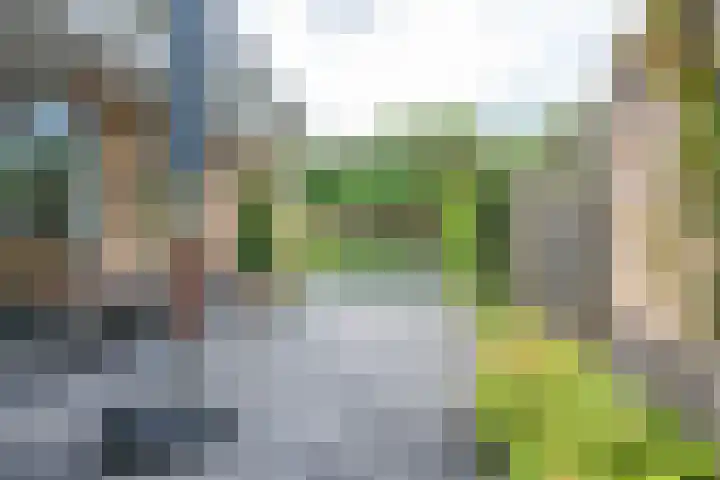 Amaliastein 174 Vianen thumbnail 31