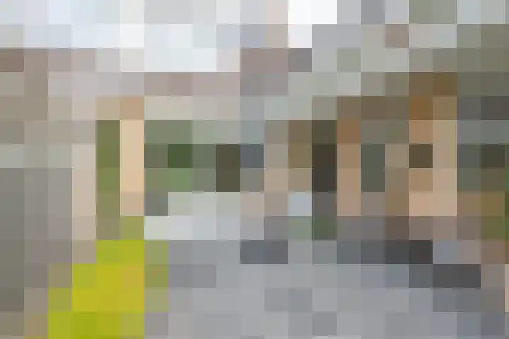 Amaliastein 174 Vianen thumbnail 32