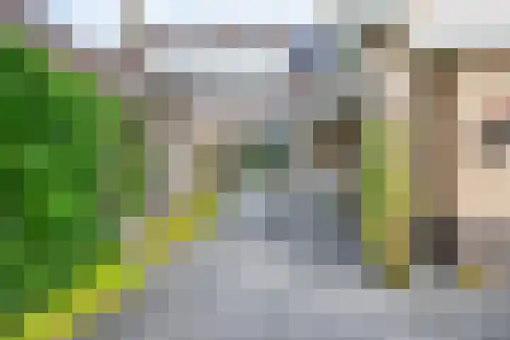 Amaliastein 174 Vianen thumbnail 33