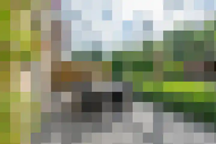 Amaliastein 174 Vianen thumbnail 34