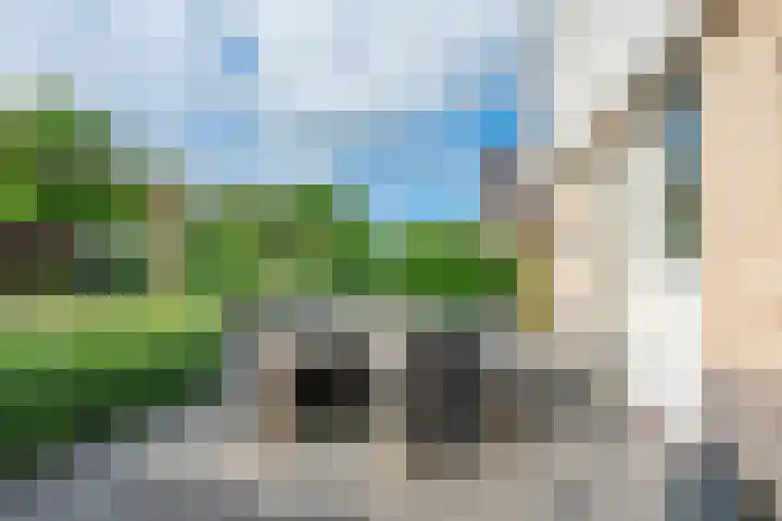 Amaliastein 174 Vianen thumbnail 35