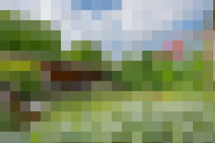 Amaliastein 174 Vianen thumbnail 36