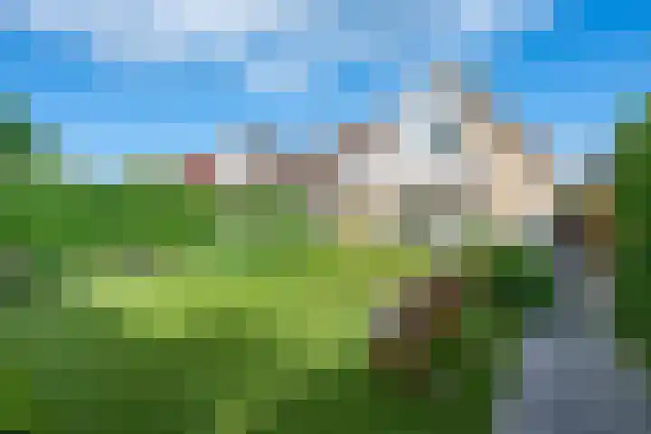 Amaliastein 174 Vianen thumbnail 37