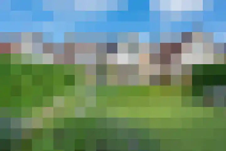 Amaliastein 174 Vianen thumbnail 38
