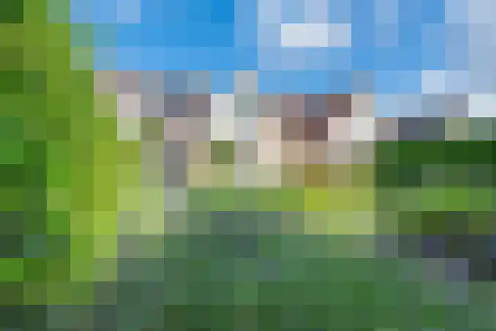 Amaliastein 174 Vianen thumbnail 39