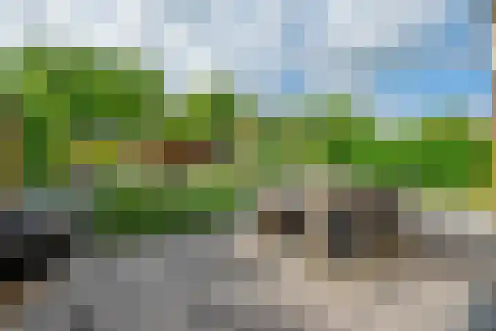 Amaliastein 174 Vianen thumbnail 4