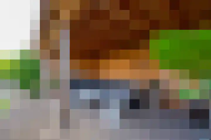 Amaliastein 174 Vianen thumbnail 40