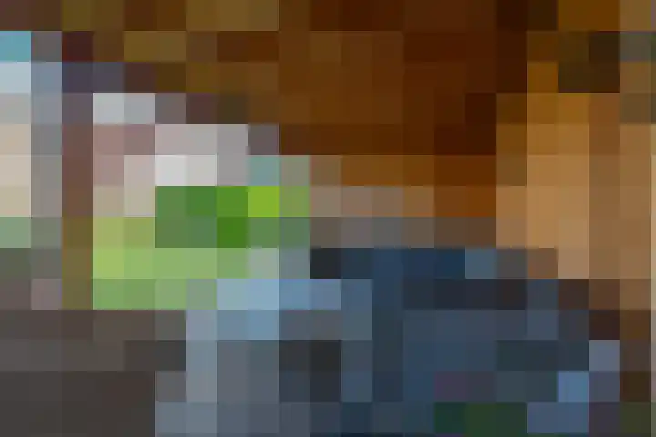 Amaliastein 174 Vianen thumbnail 41