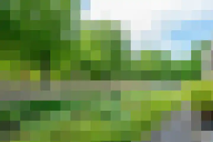 Amaliastein 174 Vianen thumbnail 43