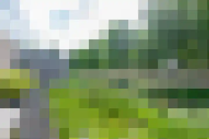 Amaliastein 174 Vianen thumbnail 44