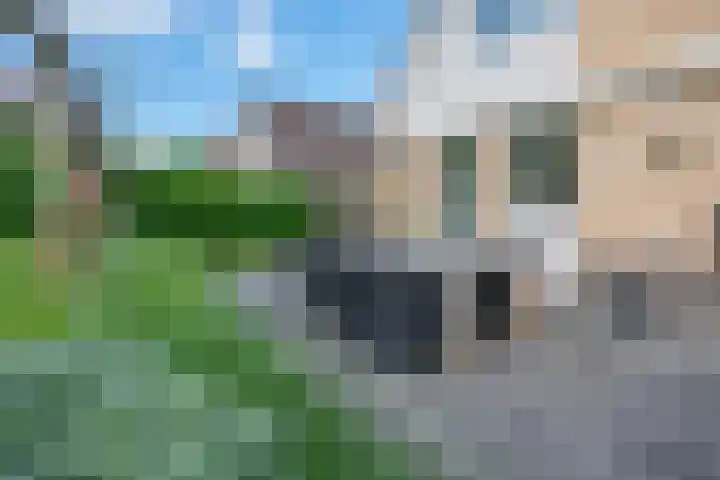 Amaliastein 174 Vianen thumbnail 45