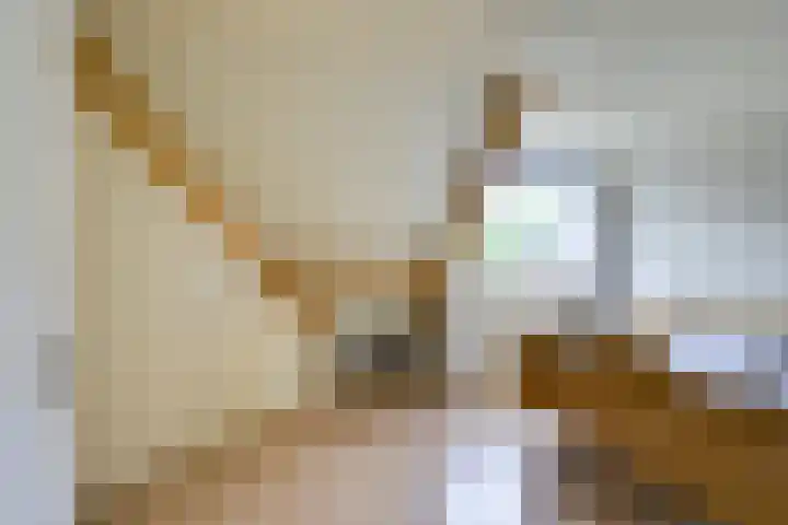 Amaliastein 174 Vianen thumbnail 46