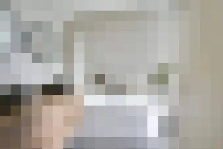 Amaliastein 174 Vianen thumbnail 50