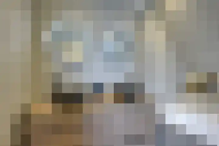 Amaliastein 174 Vianen thumbnail 51