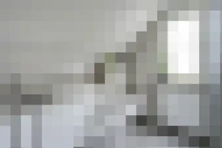 Amaliastein 174 Vianen thumbnail 52