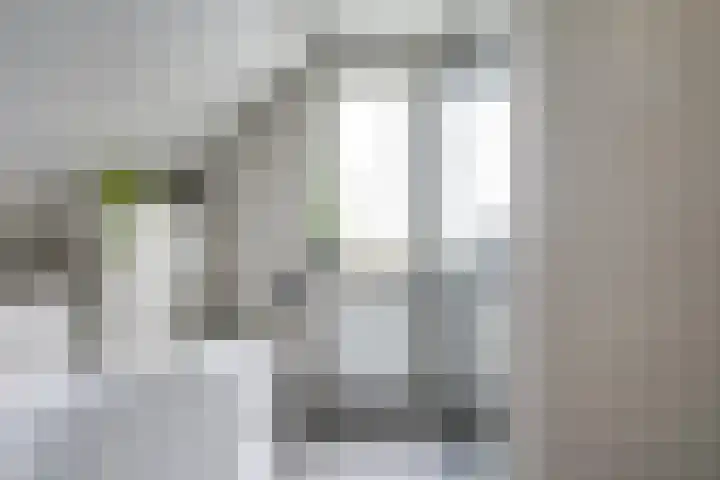 Amaliastein 174 Vianen thumbnail 56