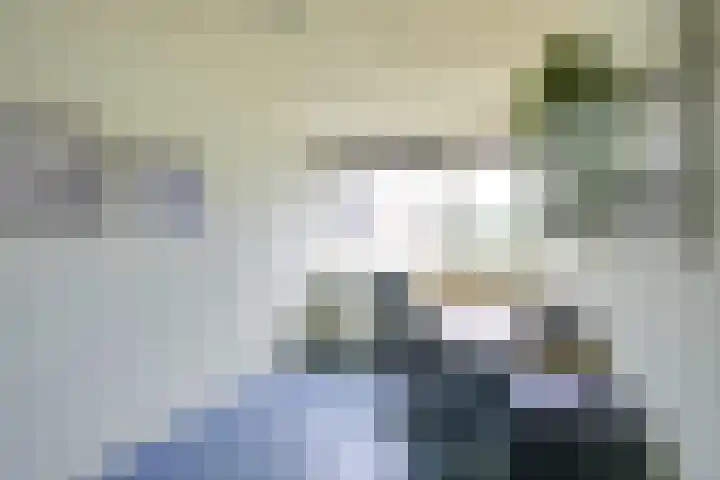 Amaliastein 174 Vianen thumbnail 57