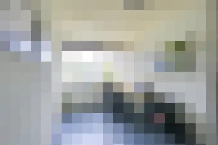 Amaliastein 174 Vianen thumbnail 58