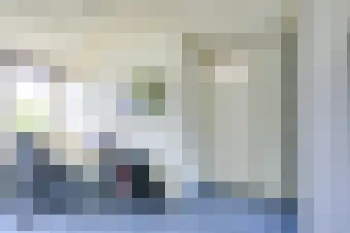 Amaliastein 174 Vianen thumbnail 59