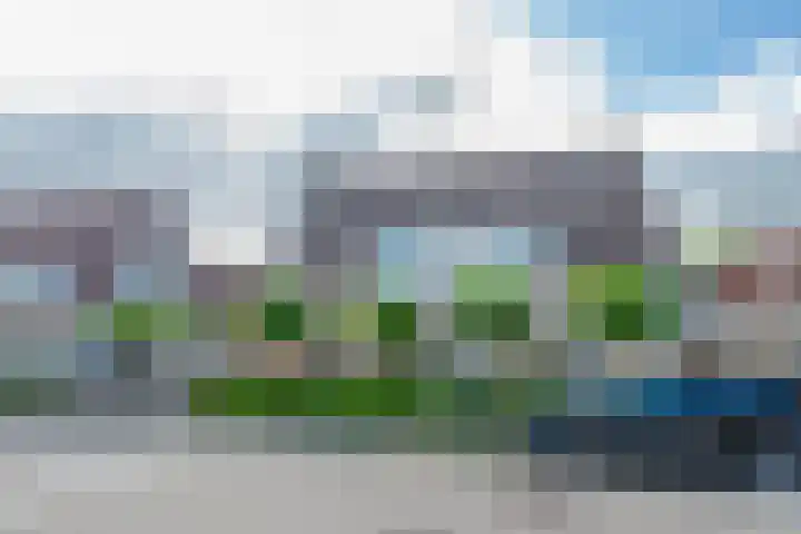Amaliastein 174 Vianen thumbnail 75