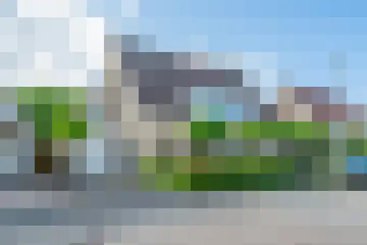 Amaliastein 174 Vianen thumbnail 77