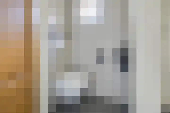 Amaliastein 174 Vianen thumbnail 9