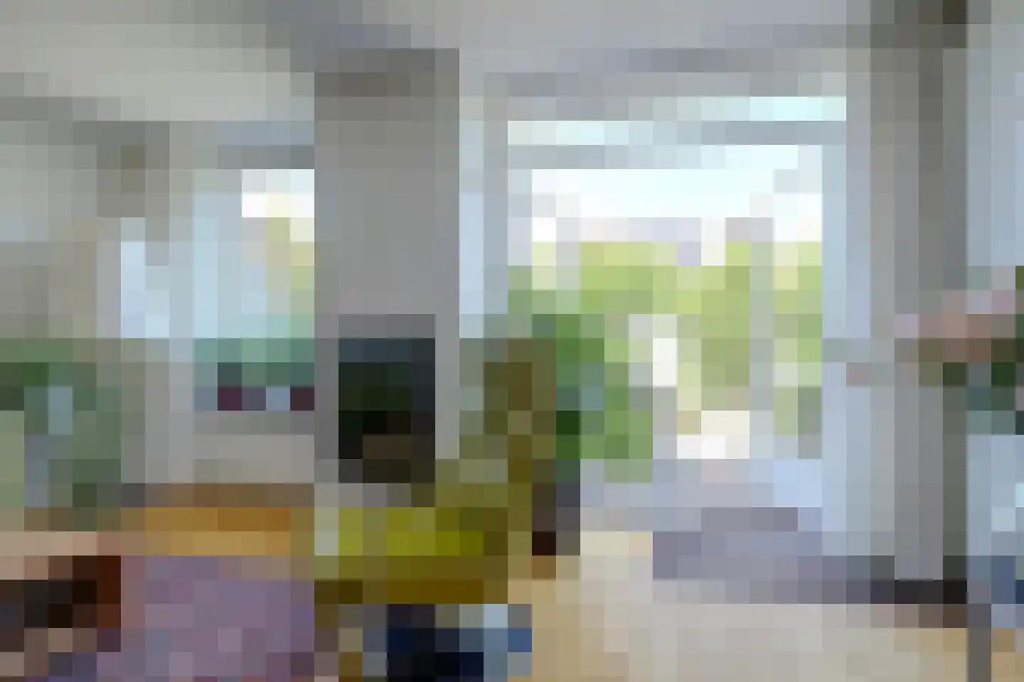 Amaliastein 179 Vianen thumbnail 11