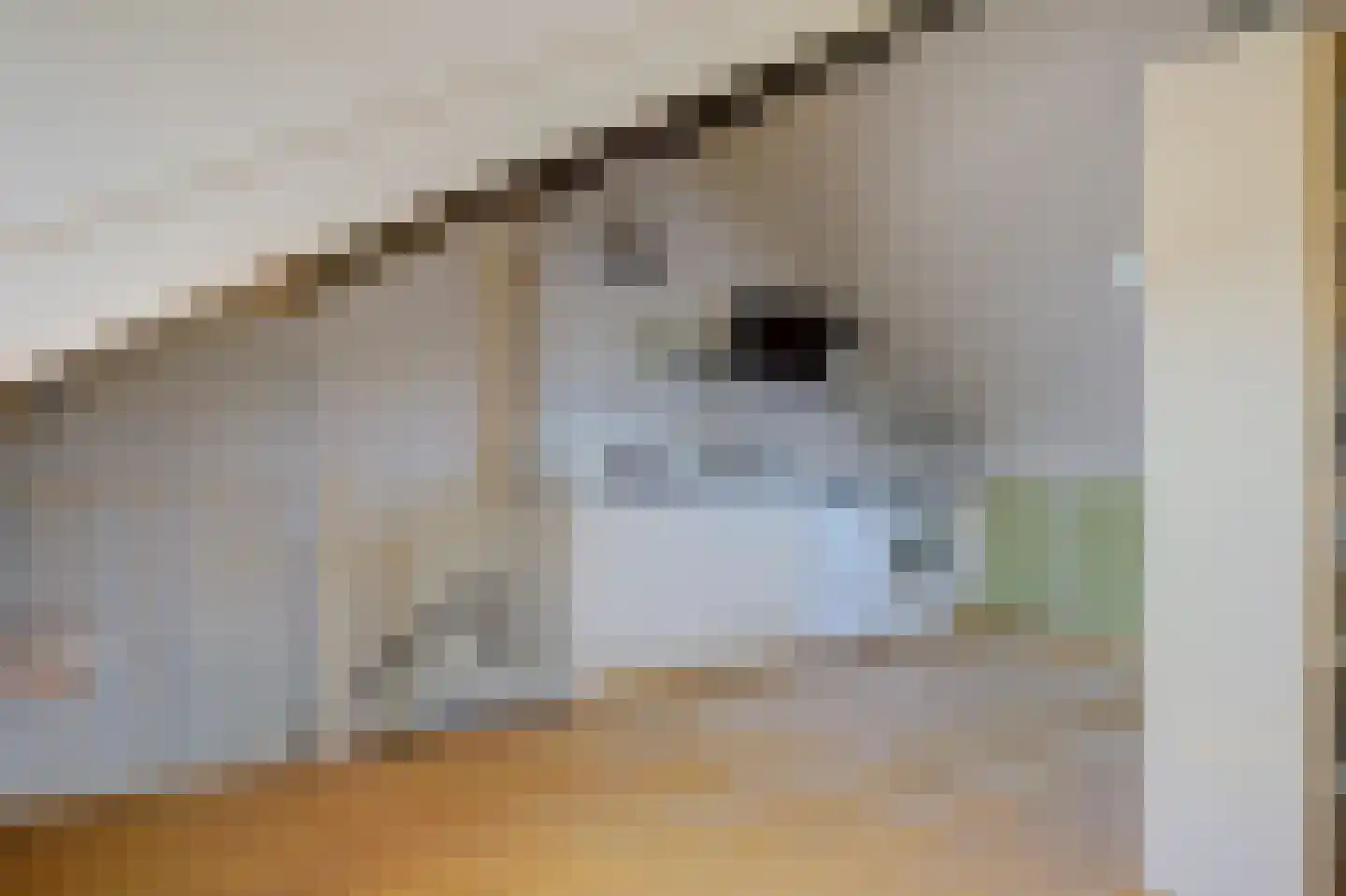 Amaliastein 179 Vianen thumbnail 27
