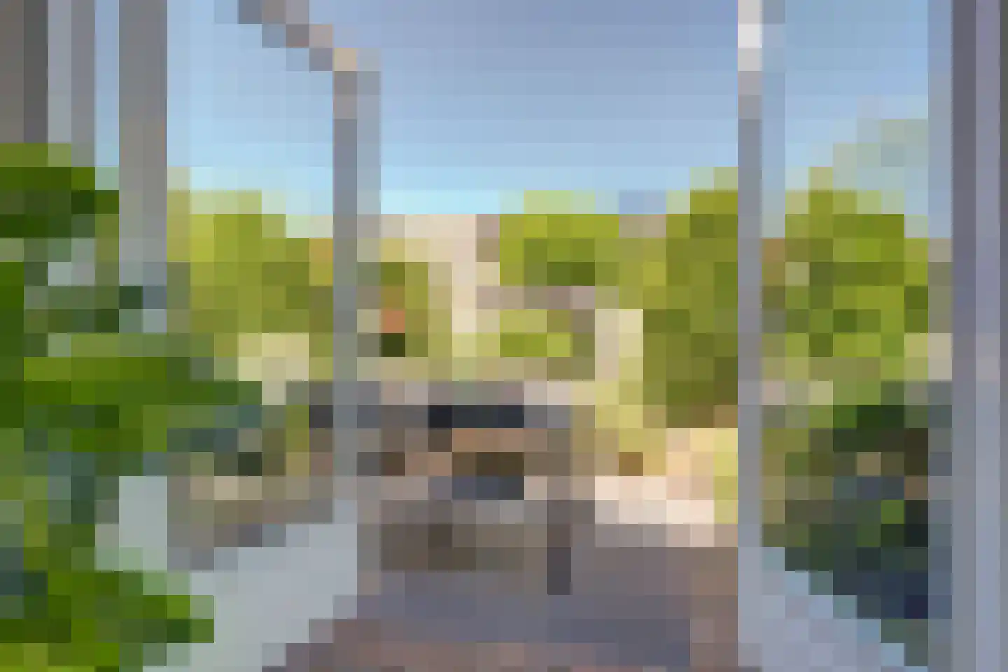 Amaliastein 179 Vianen thumbnail 30