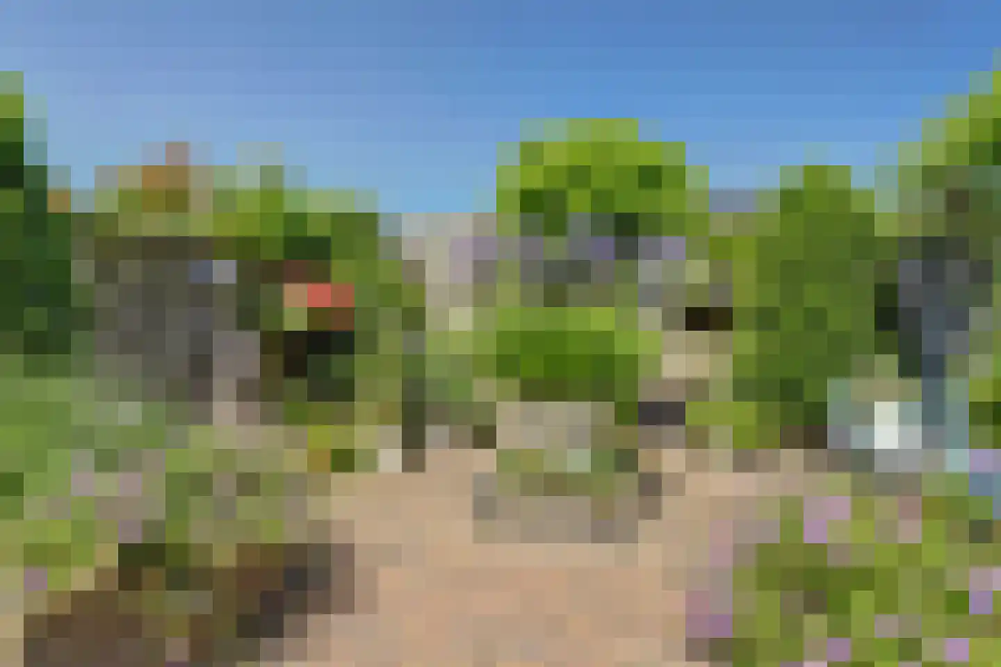 Amaliastein 179 Vianen thumbnail 33