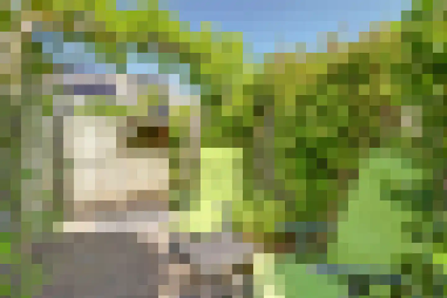 Amaliastein 179 Vianen thumbnail 36