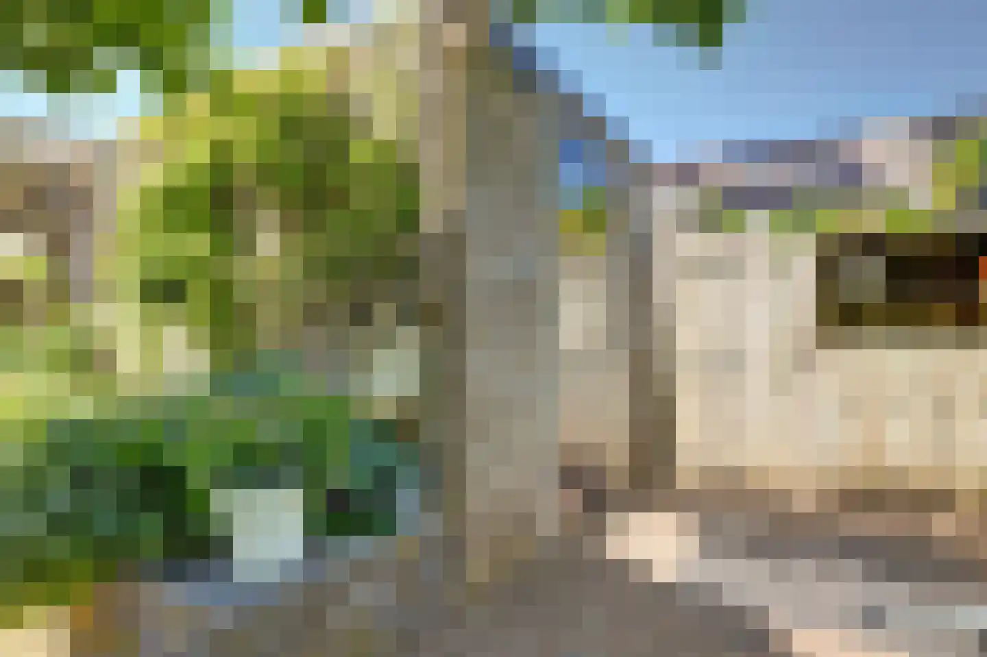 Amaliastein 179 Vianen thumbnail 37
