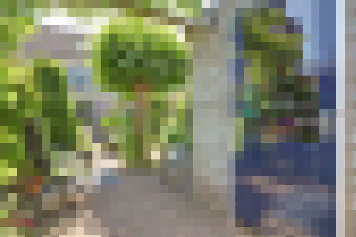 Amaliastein 179 Vianen thumbnail 38